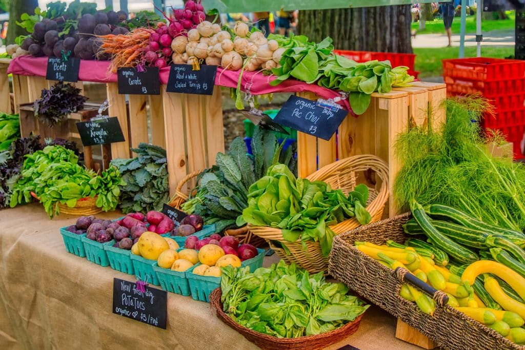 What Makes the Mundelein Farmers Market Special